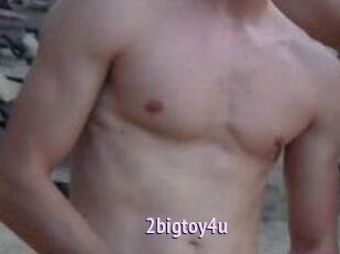 2bigtoy4u