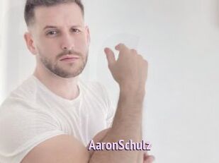 AaronSchulz