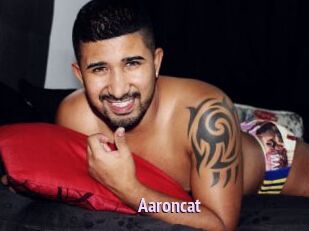 Aaroncat
