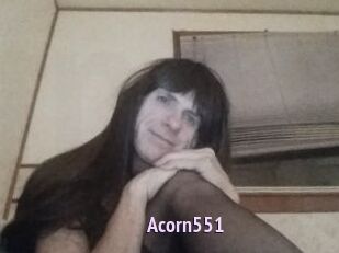 Acorn551