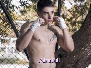 AdamBull