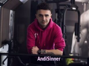 AndiSinner