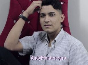 AndyMontenegro
