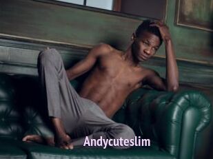 Andycuteslim