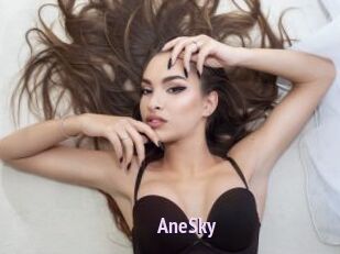 AneSky