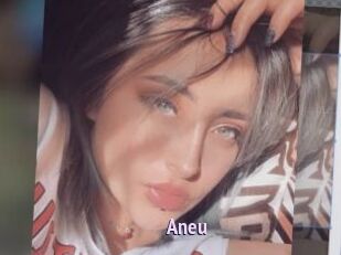 Aneu