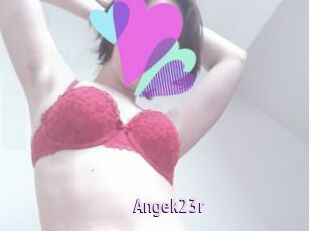 Angek23r