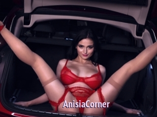 AnisiaCorner
