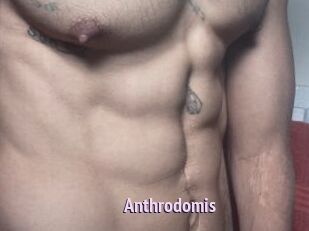 Anthrodomis