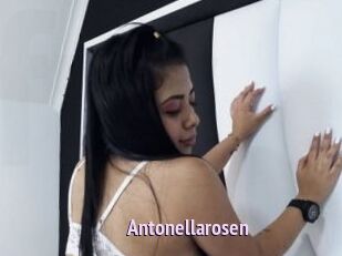 Antonellarosen