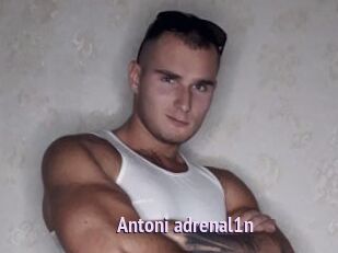 Antoni_adrenal1n
