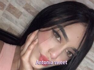 Antonia_sweet