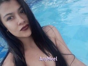 AnyMeel