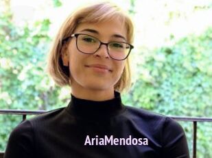 AriaMendosa