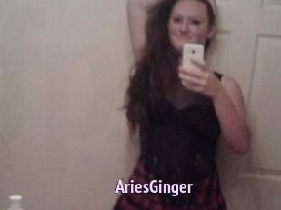 AriesGinger