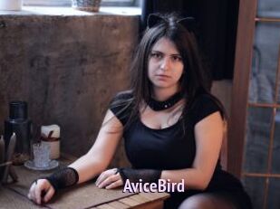 AviceBird