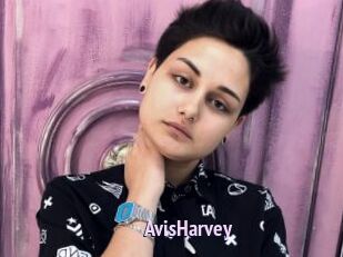 AvisHarvey