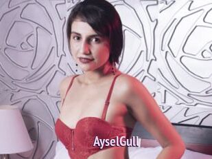 AyselGull
