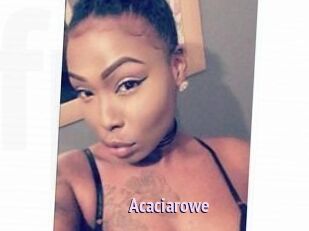Acacia_rowe