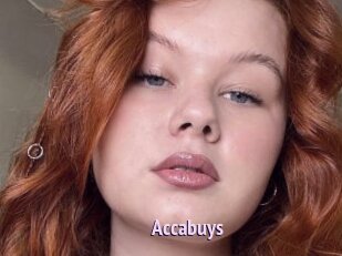 Accabuys