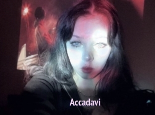 Accadavi