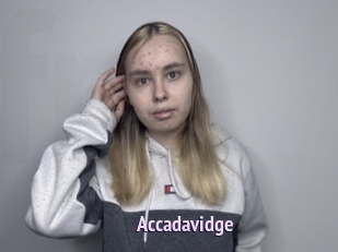 Accadavidge