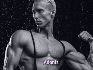 Adonis_