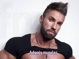 Adonis_muscles