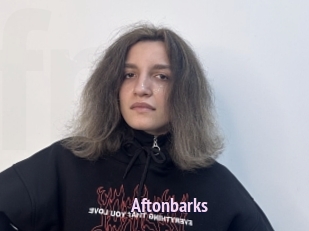 Aftonbarks
