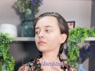 Aftonhase