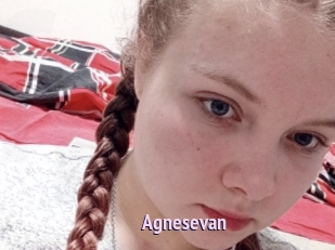 Agnesevan