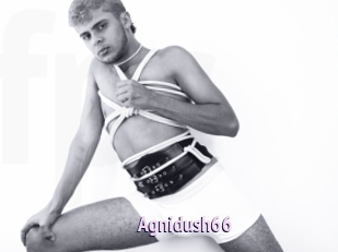 Agnidush66