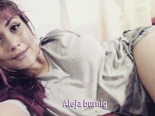 Aleja_burnig