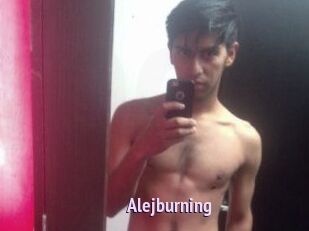 Alejburning