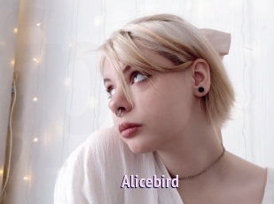 Alicebird