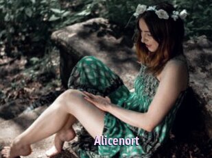 Alicenort