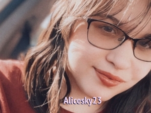Alicesky23