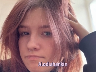 Alodiahankin