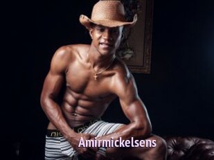 Amirmickelsens