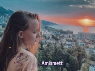 Amismett