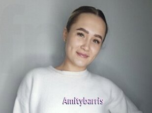 Amitybarris