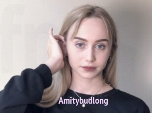 Amitybudlong