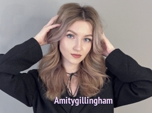 Amitygillingham