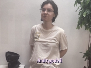 Amitygodsil