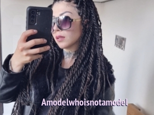 Amodelwhoisnotamodel