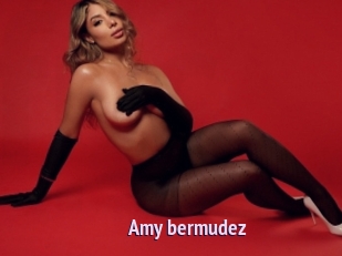 Amy_bermudez