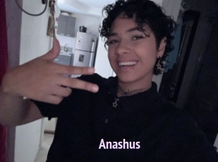 Anashus