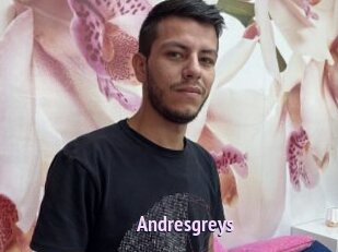 Andresgreys