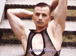 Andrew_falcon