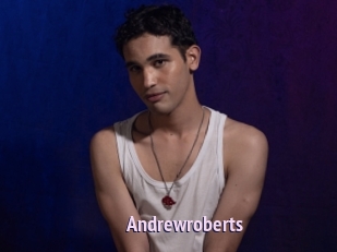 andrewroberts Film Porno